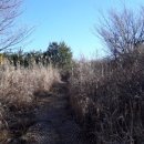 최정산 누리길 이미지