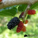 부자농장(정읍) 이미지