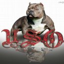 우소농장 이미지