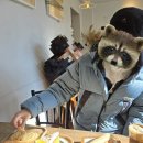 선사애견 | 가평 애견동반 카페 코미호미 내돈내산 솔직 후기, 북한강 앞 크리스마스 포토존과 고소한 들깨라떼