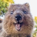 소3-16 | 인천모래내시장맛집, 삽교소곱창 후기 및 주차정보