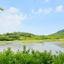 도봉-도봉-서울도봉-2117 이미지