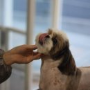 고마워 MIN 이미지