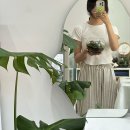 테라리움 클래스 | 인천 계양구 테라리움클래스 후기 (+관리법) : 이런날꽃