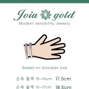 라 플레히에