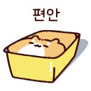 프로바이드