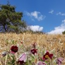 적성도로 옆 이미지