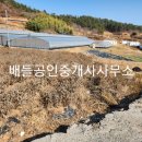 호동리 티스토리