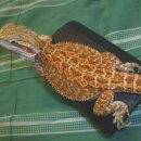 순덕농장 이미지