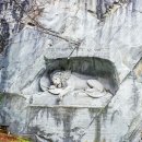 스위스파크 호스텔 이미지