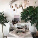 하모리-42 이미지