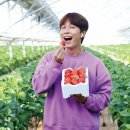 김도현목장 이미지