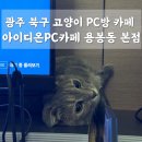 아이디온PC카페 이미지