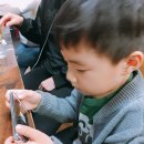 고향생돼지 이미지