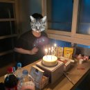 명화애견유치원 | 21年 7月 기록