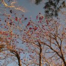 남양주축산업협동조합 이미지