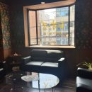 엔티크 독 이미지