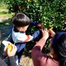 제주종합경기장 이미지