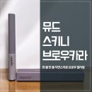 뮤드 인스파이어 스키니 브로우카라 사용 후기 :: 자연스럽고 정교한 눈썹의 완성