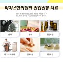 이지스가나 네이버블로그
