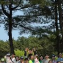 예원숲어린이집 이미지