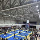 백제2체육관 | [잠실 삼전동 주짓수] 스트릿 주짓수 챔피언쉽 수원 5/24 대회후기!!!