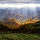 해아림한의원 이미지