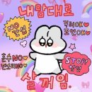 11-17 이미지
