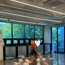 꿈꾸는개 이미지