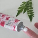 버베나네일 | 록시땅(L'OCCITANE) 핸드크림 5종 완벽 비교분석 (시어버터부터 로즈까지) 제형·향기 총정리/찐 사용 후기