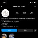 샘펫스튜디오 이미지