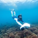 스쿠버월드 | 화이트 전기 수중 추진기 다이빙 스쿠터 스킨스쿠버 호흡기 부스터 장비