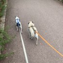 본가 뼈다귀 감자탕 별내직영점 | 별내 카페거리 브런치/술집- 합리적인 가격의 프라이빗