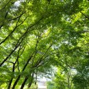 광성정비 | 인천 아이랑 갈만한곳 인천근교드라이브 강화도 둘레길 광성보 볼거리 주차장