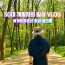 동작문화유산의 시간산책 | [화성 가볼만한곳] 유네스코 세계문화유산 융건릉 산책 후기 (주차 꿀팁 포함)