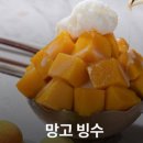 팡팡라이브룸 이미지