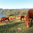 형민농장 이미지