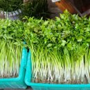 성조건설(주)