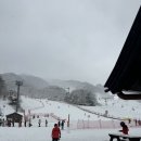 티롤 | 무주 리조트 ‘티롤 호텔’ 내돈내산 숙박 후기(🔎디럭스, 프리미어 객실 비교 사진)