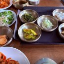 남밭