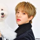 스타펫 이미지