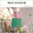 미젤오브제울진점 | 초파리트랩 퇴치기 식물 화분 날파리 초파리 없애는법