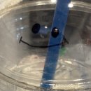 수정북로 | 한 이 맺힌 오리고기와 대창 그리고 세 개의 동화책