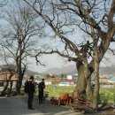 진남마을회관 이미지