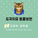 도곡 치유 동물병원 이미지