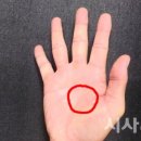 헬스라이프 이미지