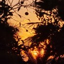 경이농장 이미지