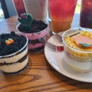 제주구도 이미지