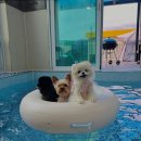 멍스빌리지풀빌라1 이미지