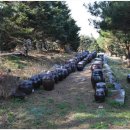 SKJ상경원요양병원 이미지